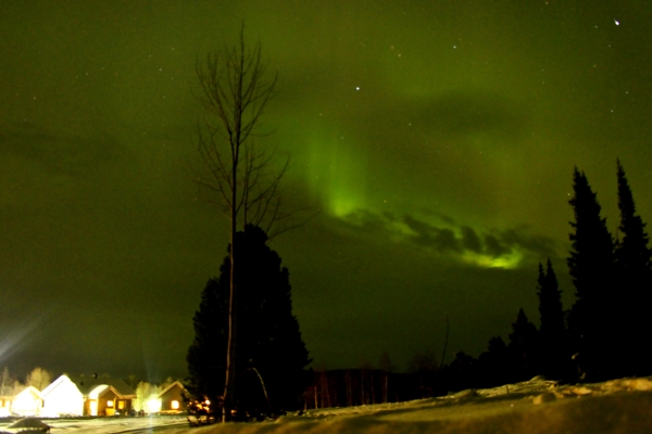 Aurora –polárna žiara